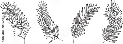 線画。南国風のベクターシンプル線画。夏の葉っぱイラストセット。Line drawing. Vector simple line drawing in tropical style. Summer leaf illustration set.