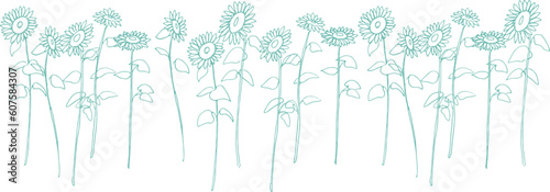 線画。夏のひまわりのシンプルベクター線画。向日葵の手描き背景素材。Line drawing. Simple vector line drawing of sunflowers in summer. Hand drawn background of sunflowers.