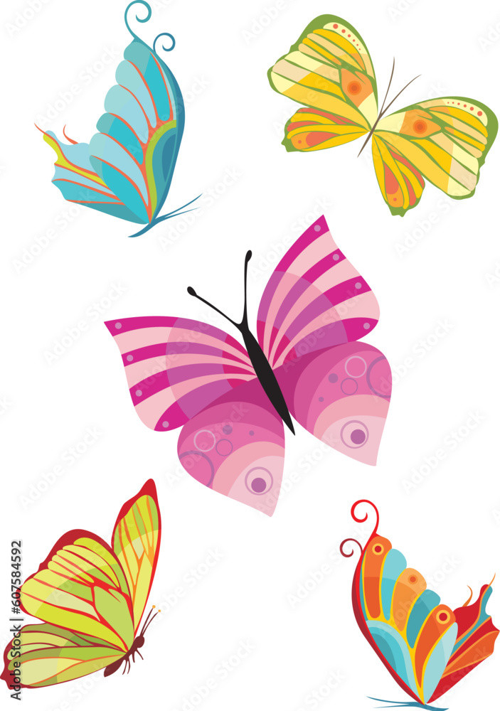 Fototapeta premium butterfly