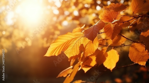 autumn leaves in the sun , generative ai