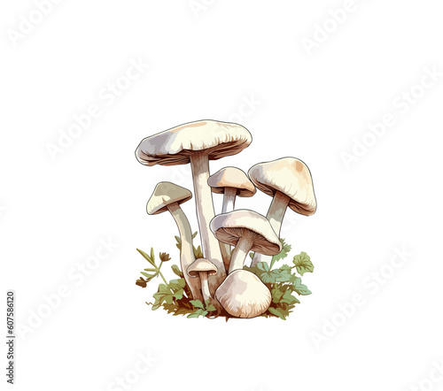 Vector illustration of edible cartoon mushroom isolated on white background