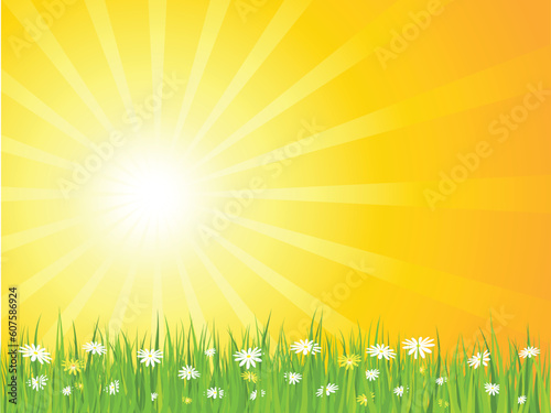 Sunny sky with daisies in grass