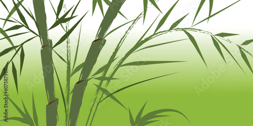 Fototapeta Naklejka Na Ścianę i Meble -  design of chinese bamboo trees, vector illustration
