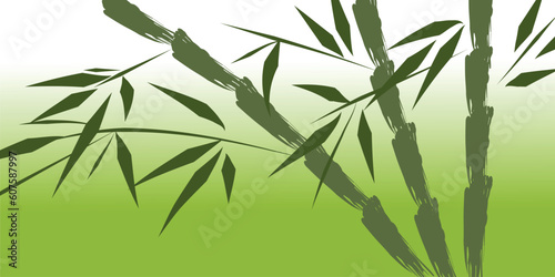 design of chinese bamboo trees, vector illustration