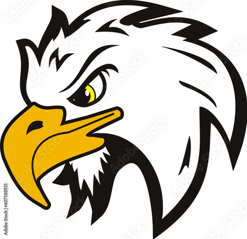 illustration of vector head eagle
