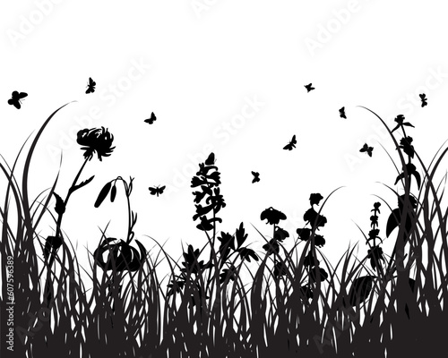 Vector grass silhouettes background for design use