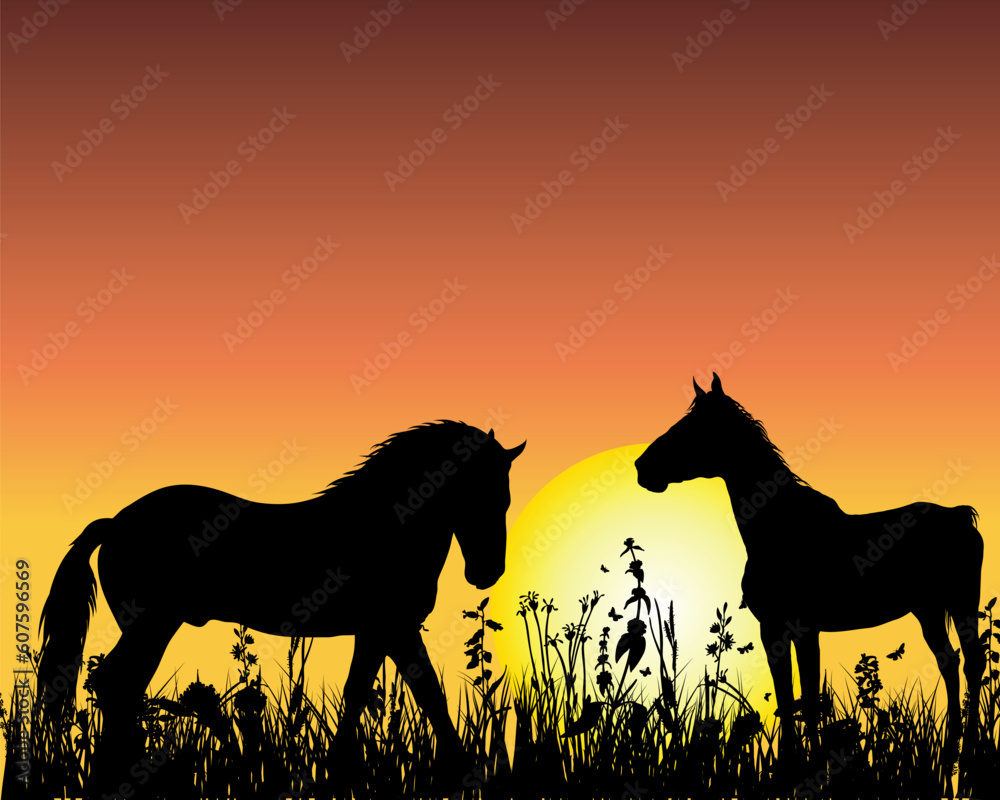 Horse silhouette on sunset background. Vector illustration. Horse silhouette on sunset background. Vector illustration.