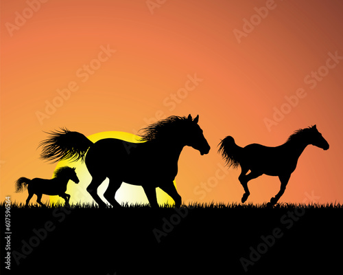 Horse silhouette on sunset background. Vector illustration. © Designpics
