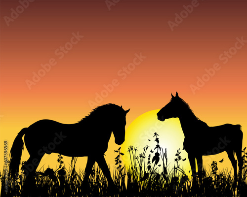 Horse silhouette on sunset background. Vector illustration. © Designpics
