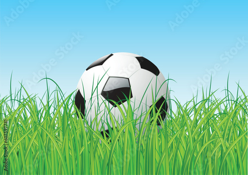 Vector illustration of soccer ball in the grass