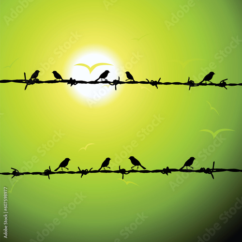 Birds on wire silhouette