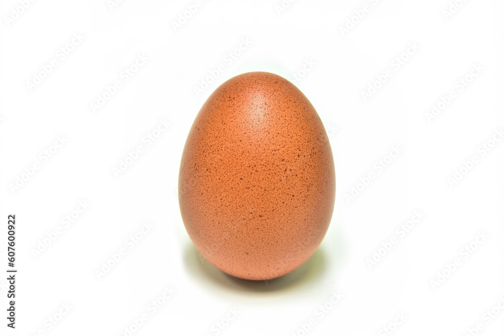 Eggs.Chicken laying isolated on white background Eggs.Chicken laying isolated on white background