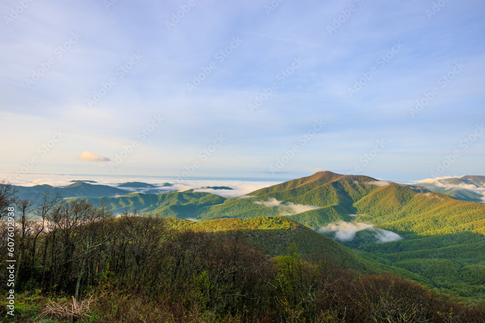 Fototapeta premium View of spring Blue Ridge Mountains and valley with low-lying clouds
