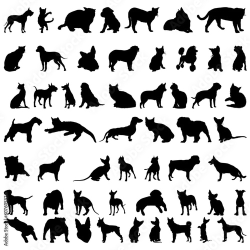 Fototapeta Naklejka Na Ścianę i Meble -  Set # 1 of different vector pets silhouettes for design use