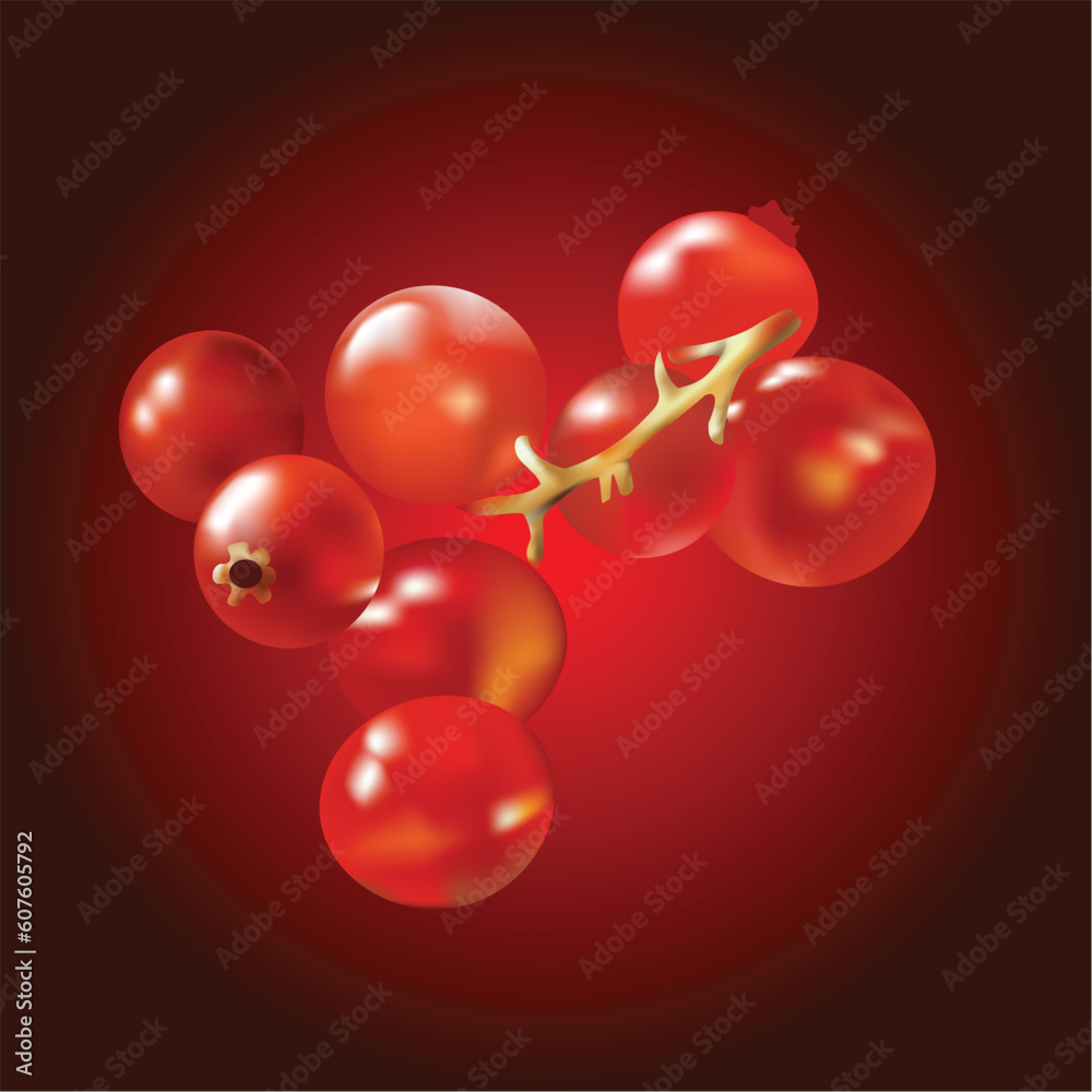 currant, this illustration may be usefull as designer work. currant, this illustration may be usefull as designer work.