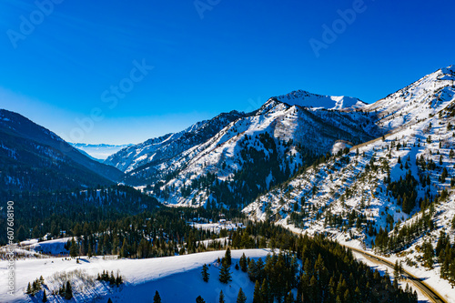 Winter's Veil: A Journey through Utah's Serene Cottonwood Valley