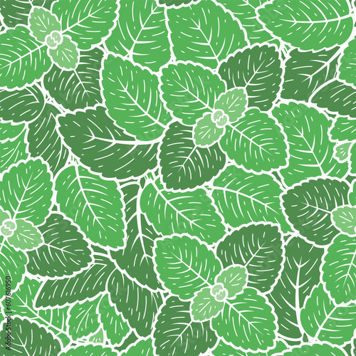 Green Peppermint Leaves Seamless Vector Pattern. Floral Background with Fresh Mint Leaf. Medicinal Plants and Spicy Herbs.