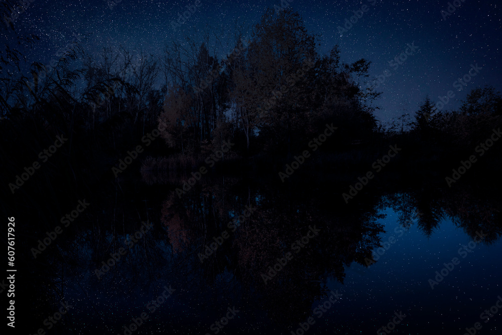 Amazing starry sky and trees reflecting in lake at night Amazing starry sky and trees reflecting in lake at night