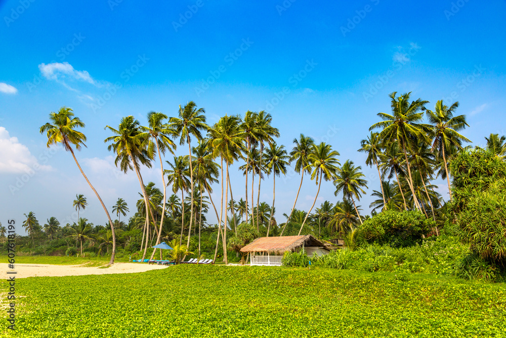 Shinagawa Beach in Sri Lanka