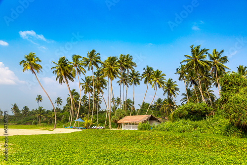 Shinagawa Beach in Sri Lanka