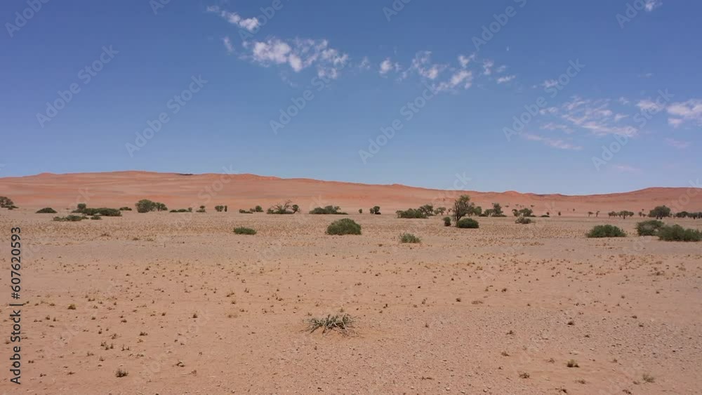 Bright Landscape tracking shot of the Namibia desert with bushes and trees on a sunny day. Blue sky, no people, daylight Bright Landscape tracking shot of the Namibia desert with bushes and trees on a sunny day. Blue sky, no people, daylight