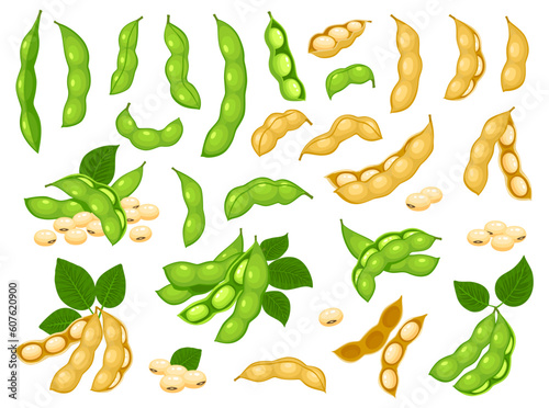 Raw soy bean, isolated soybean pods with leaves. Dry soybean pod with seeds, beans ripe legumes. Vegan diet protein nutrition ingredient, beans agriculture harvest