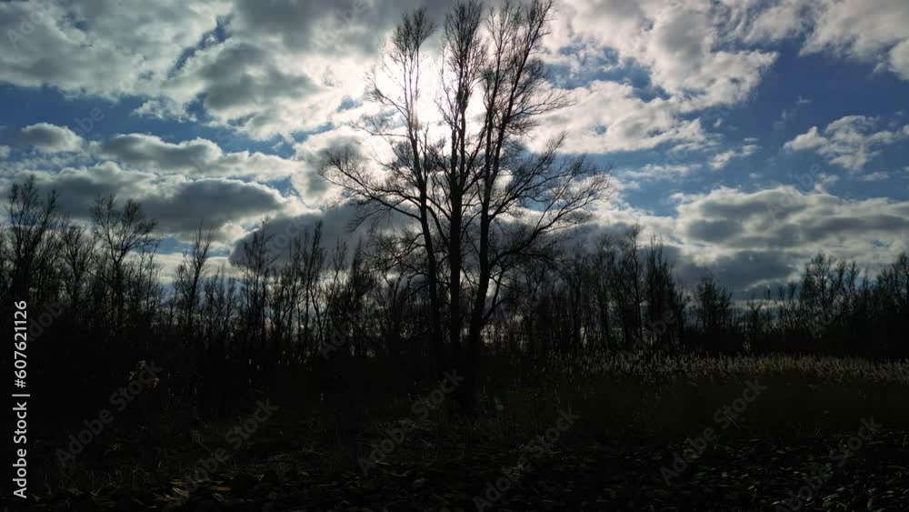 Stunning Shot Of Green Landscape Under Cloudy Sky, Zwijnrecht, Netherlands Stunning Shot Of Green Landscape Under Cloudy Sky, Zwijnrecht, Netherlands