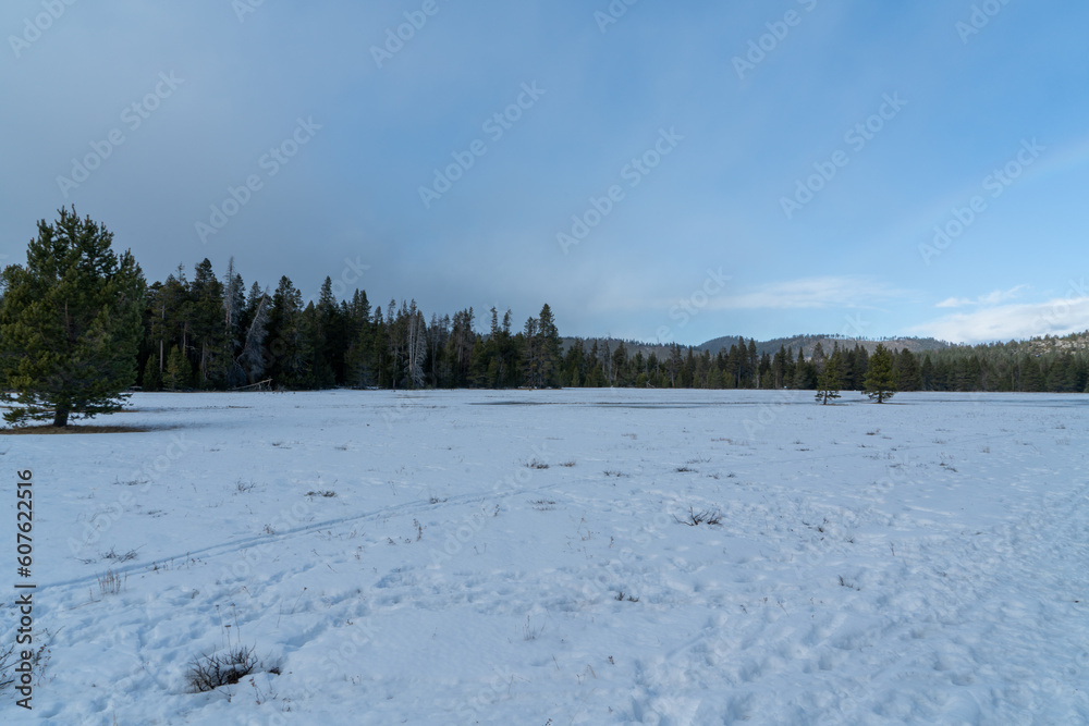 Snow covering the Washoe Meadows State Park in the winter time Snow covering the Washoe Meadows State Park in the winter time