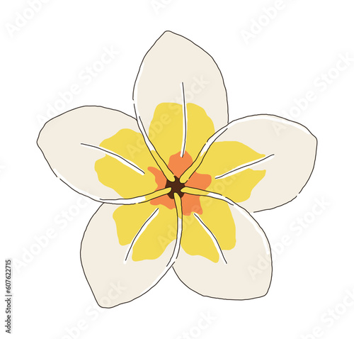 An illustration of a flower that blooms in a tropical place called 'Love Hawaii' as a 'Plumeria' flower that can be seen in Hawaii.