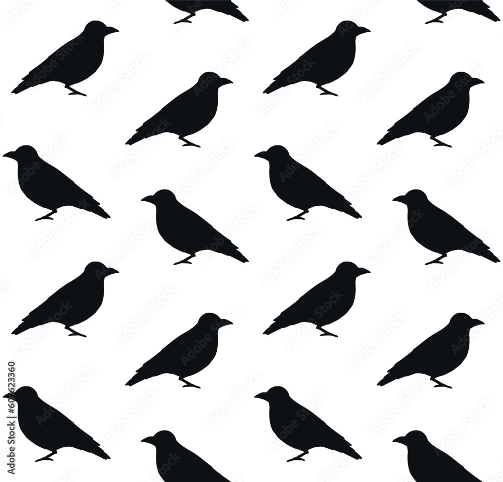 Fototapeta premium Vector seamless pattern of hand drawn doodle sketch black catbird bird isolated on white background