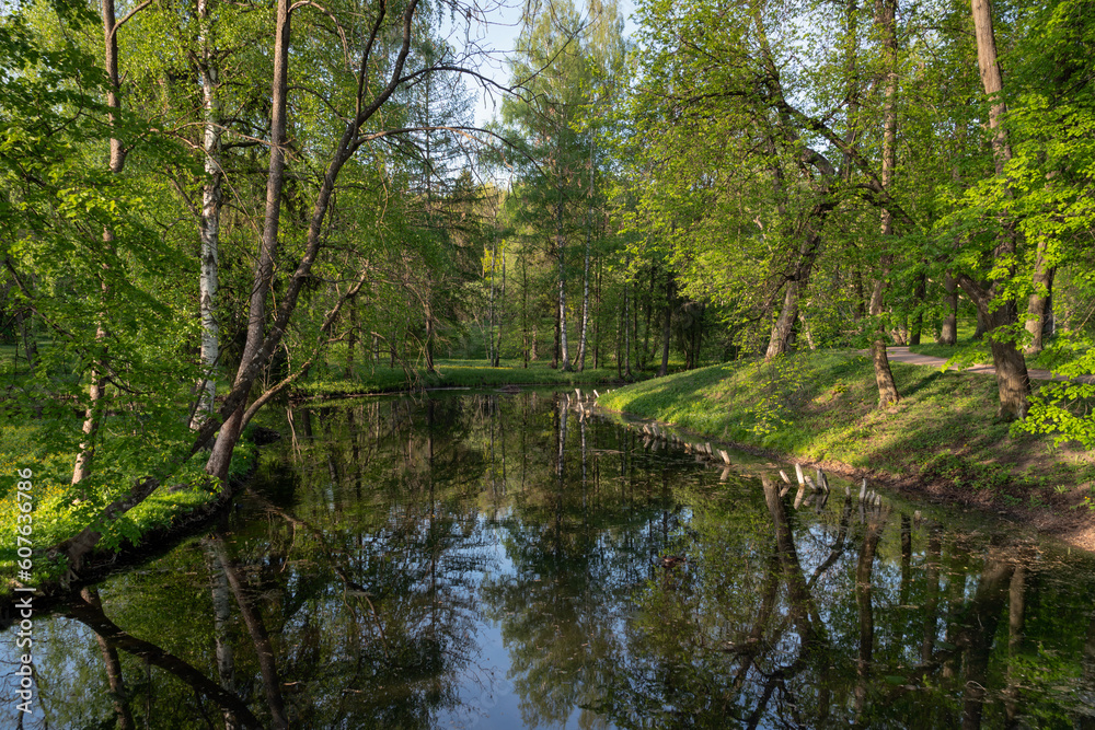 Fototapeta premium The channel of the water maze near the White Lake in Gatchina Park on a sunny autumn morning, Gatchina, St. Petersburg, Russia