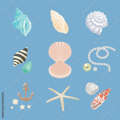 marin&shells/海&貝殻セット