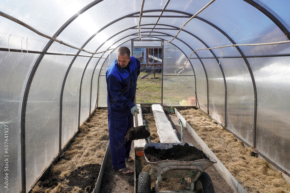A man works in a vegetable garden in early spring. Digs the ground. Working in a greenhouse A man works in a vegetable garden in early spring. Digs the ground. Working in a greenhouse