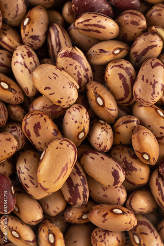 Raw pink beans close-up. Protein protein. Vertical photo.