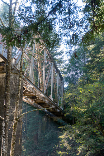 The train track at the Henry Cowell Redwoods State Park photo