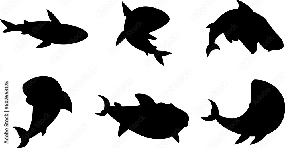 Fototapeta premium Shark Sillhoutee