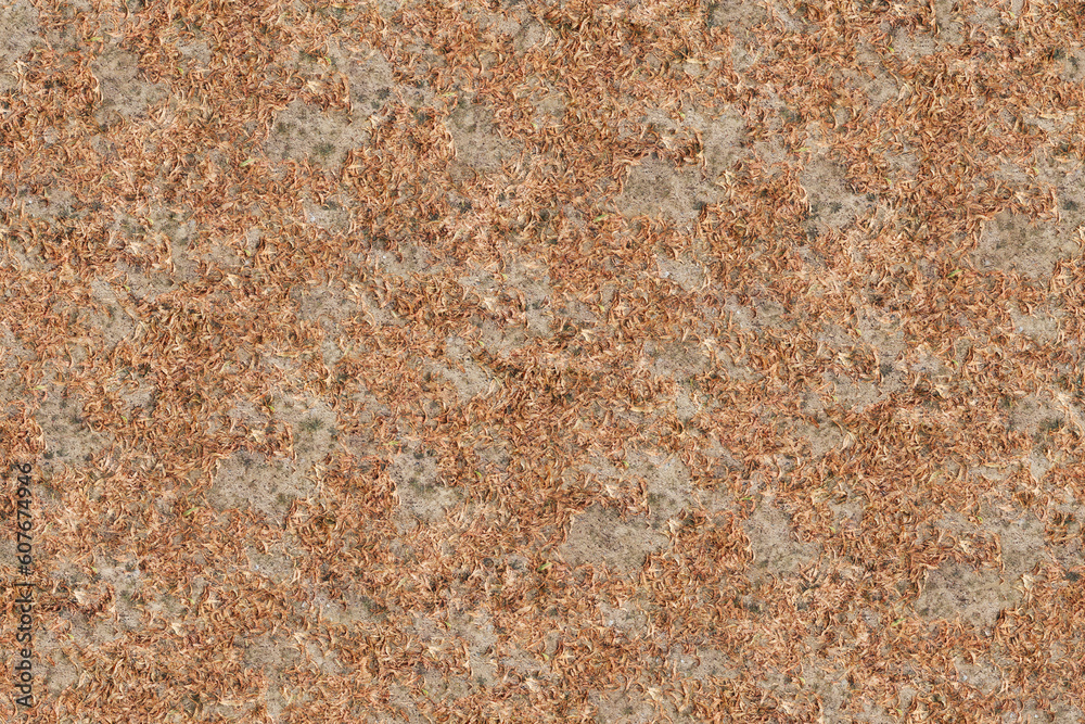 texture structure pattern backdrop wallpaper texture structure pattern backdrop wallpaper