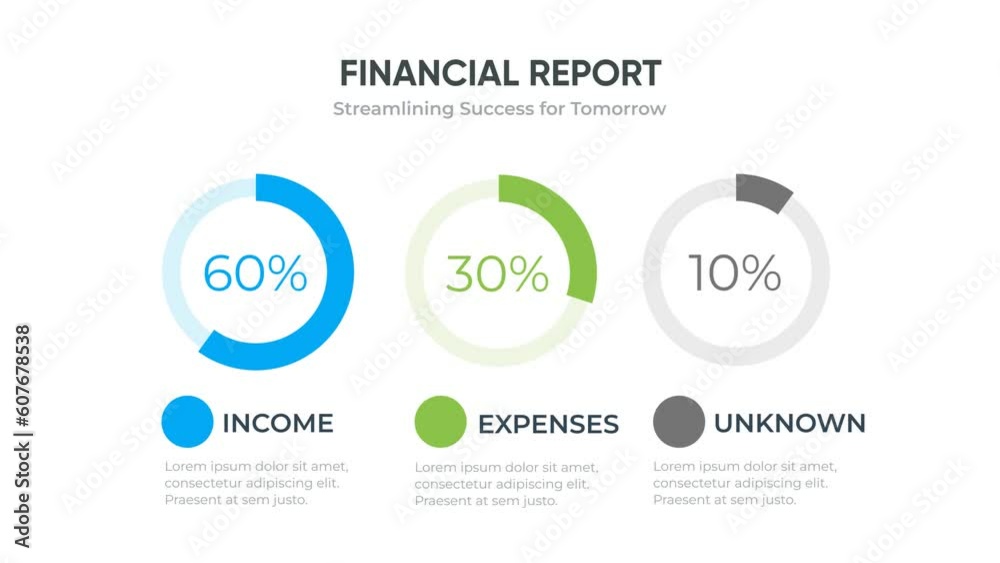 Dummy Financial Report animation Finance diagram infographic Stock