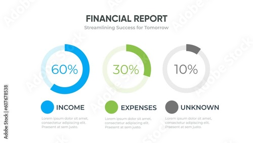 Dummy Financial Report animation - Finance diagram infographic