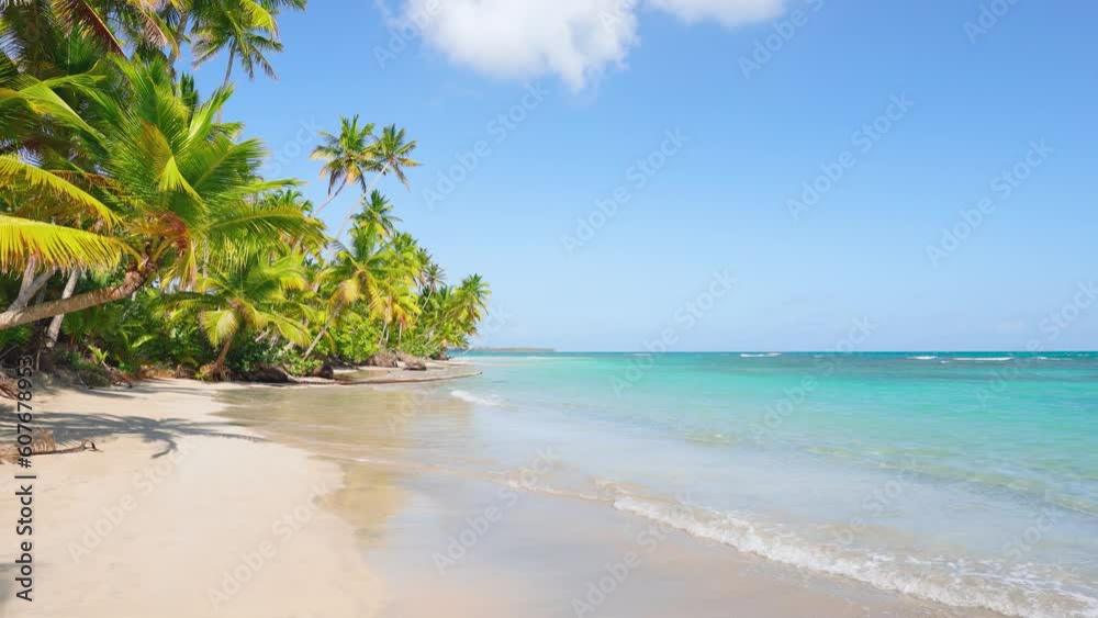 Palm trees on white sand and turquoise water on a beautiful tropical beach. Paradise in the Seychelles. A dream beach for traveling and relaxing by the sea. Summer holidays on the ocean coast.