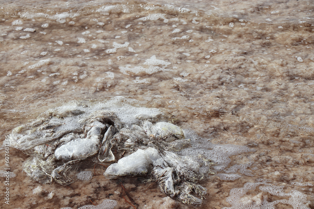 environmental pollution plastic trash waste rubbish environmental pollution plastic trash waste rubbish