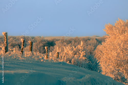 Hoar frost on farm fences and trees