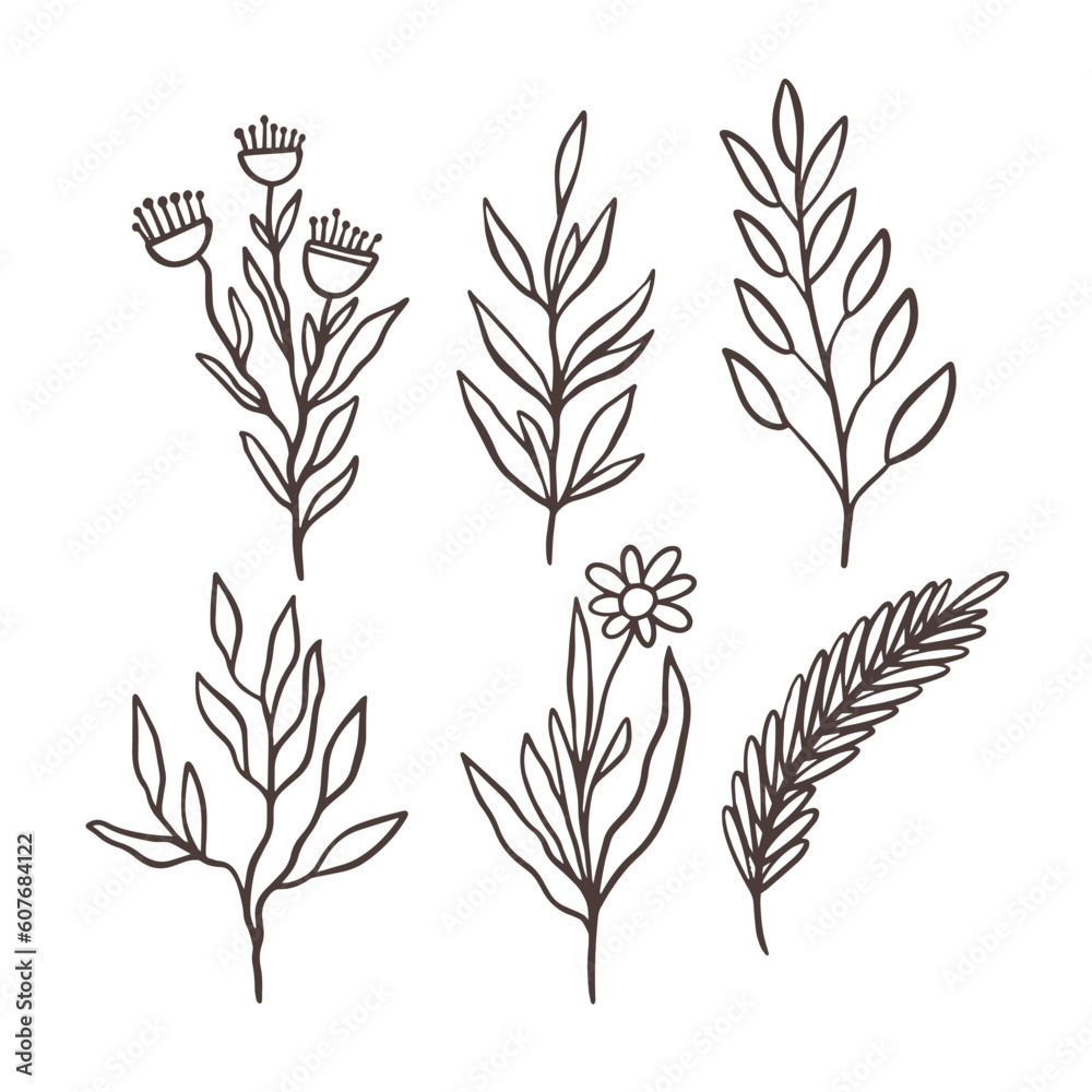 Hand drawn floral branch minimalist sketch. Hand drawn floral branch minimalist sketch.