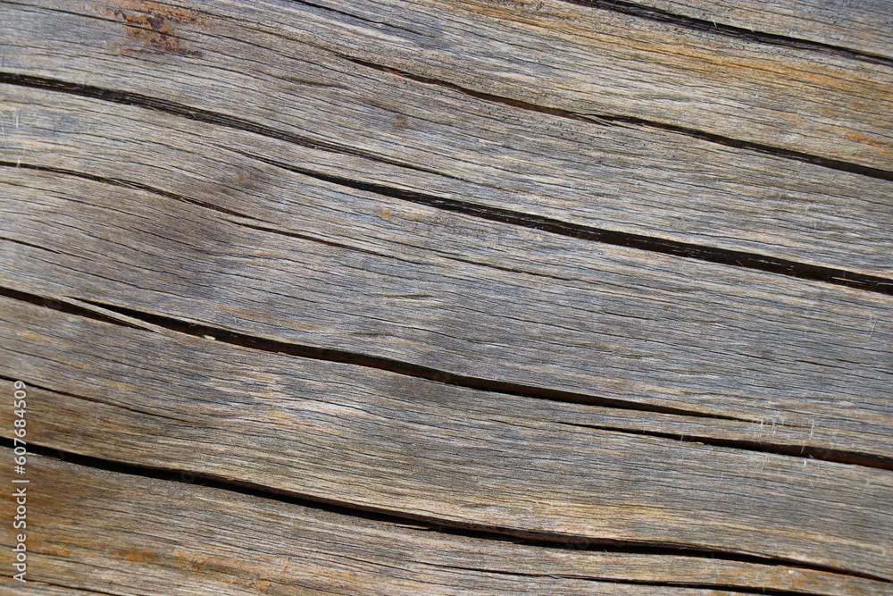 wood tree timber background texture structure backdrop wood tree timber background texture structure backdrop