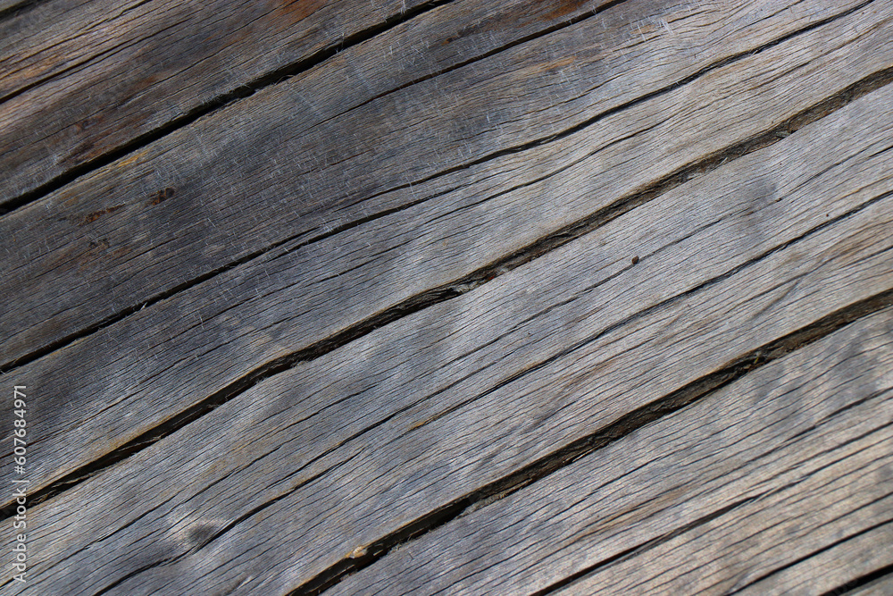 wood tree timber background texture structure backdrop wood tree timber background texture structure backdrop
