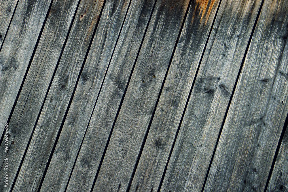 wood tree timber background texture structure backdrop wood tree timber background texture structure backdrop