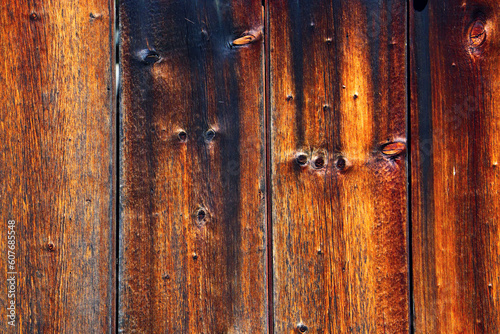 wood tree timber background texture structure backdrop