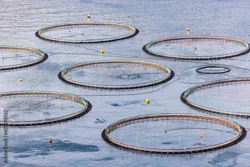 Salmon fish farm in the ocean waters at Faroe Islands photo