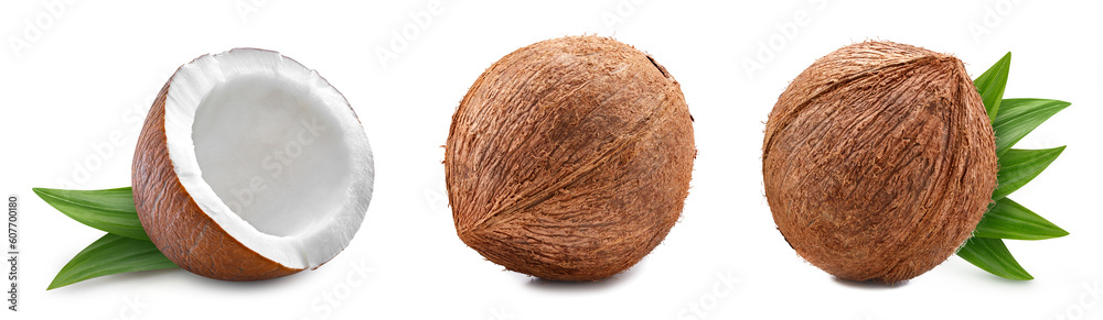 Coconut collection with leaves isolated on white background. Coconut clipping path. Coconut collection with leaves isolated on white background. Coconut clipping path.