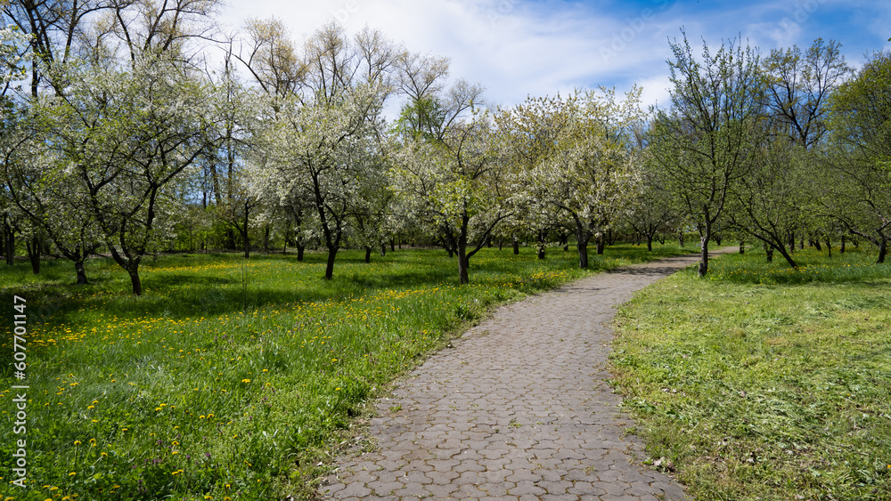 the Nadia farm with ornamental and fruit plantations alternates with picturesque meadows with natural grass the Nadia farm with ornamental and fruit plantations alternates with picturesque meadows with natural grass
